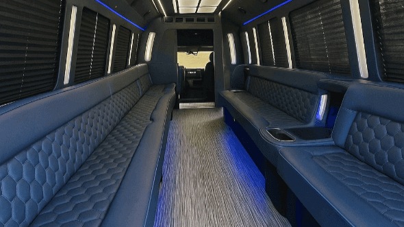 40 passenger party bus interior